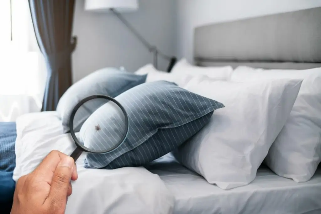 Les sources d’allergies dans la maison